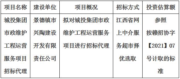 城投集團市政維護工程運營服務(wù)項目招標(biāo)代理計劃公告