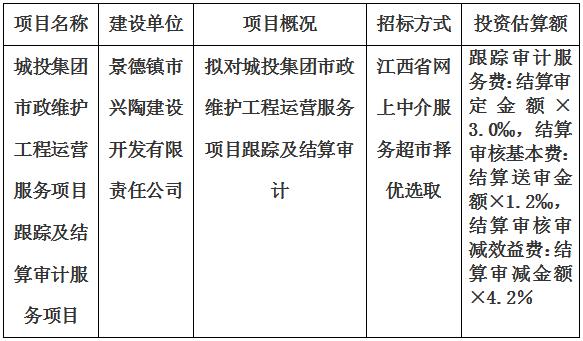 城投集團市政維護工程運營服務項目結算審計服務項目計劃公告