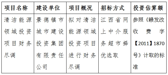 清潔能源領域投資項目財務盡調(diào)計劃公告