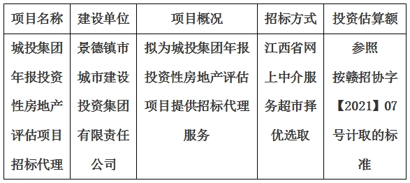 城投集團(tuán)年報投資性房地產(chǎn)評估項目招標(biāo)代理計劃公告