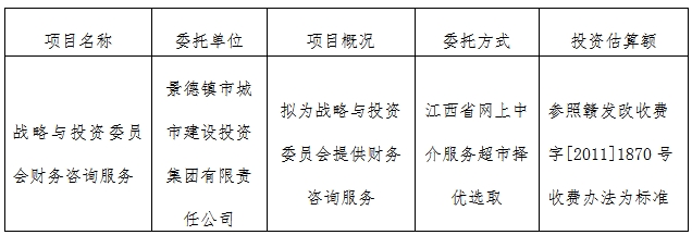 戰(zhàn)略與投資委員會財(cái)務(wù)咨詢服務(wù)計(jì)劃公告