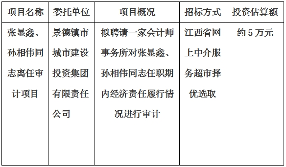 張顯鑫、孫相偉同志離任審計(jì)項(xiàng)目計(jì)劃公告