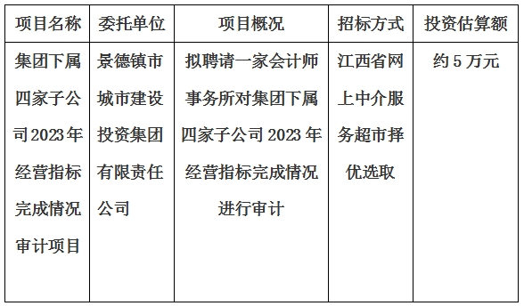 集團(tuán)下屬四家子公司2023年經(jīng)營(yíng)指標(biāo)完成情況審計(jì)項(xiàng)目計(jì)劃公告