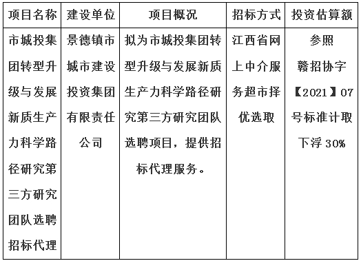 市城投集團轉(zhuǎn)型升級與發(fā)展新質(zhì)生產(chǎn)力科學路徑研究第三方研究團隊選聘招標代理計劃公告