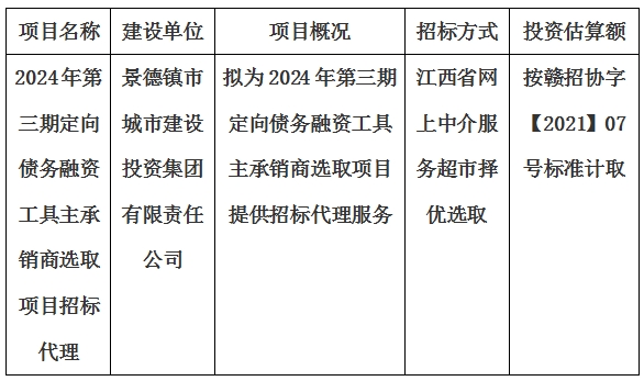 2024年第三期定向債務(wù)融資工具主承銷商選取項目招標(biāo)代理計劃公告