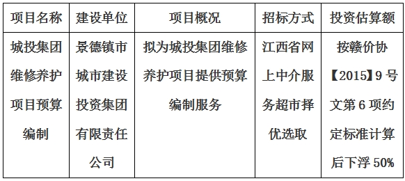 城投集團維修養(yǎng)護項目預(yù)算編制計劃公告