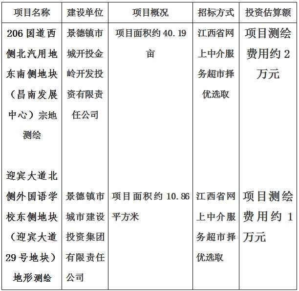 景德鎮(zhèn)市206國道西側(cè)北汽用地東南側(cè)地塊（昌南發(fā)展中心）宗地測繪項(xiàng)目及迎賓大道北側(cè)外國語學(xué)校東側(cè)地塊（迎賓大道29號地塊）地形測繪項(xiàng)目計(jì)劃公告